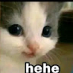 Meet your Posher, Bell